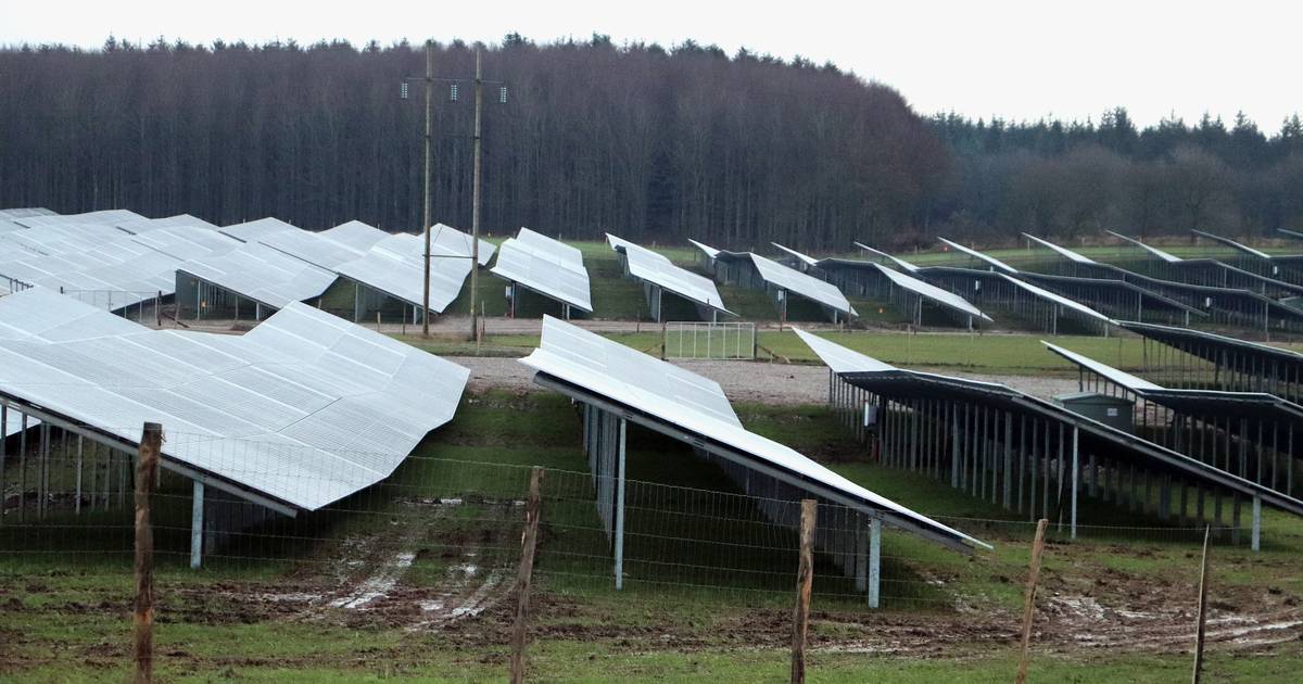Flere penge og billig strøm til ramte naboer: 21 tiltag skal bane vej ...
