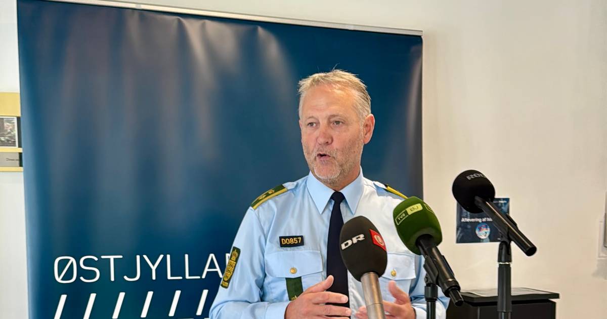 Overfald i Riis Skov: Ung mand anholdt efter DNA-match - Din Avis