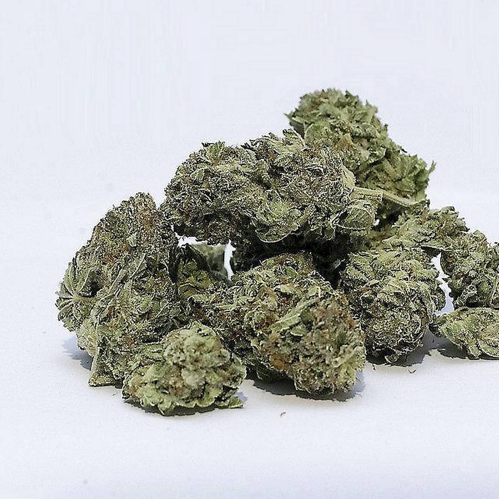 Skunk.