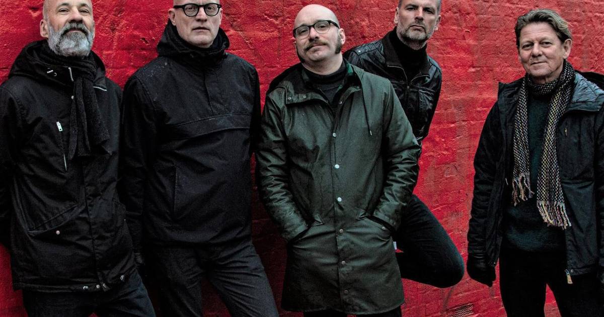 De Må Være Belgiere: Legendarisk band med nutidig lyd - Din Avis