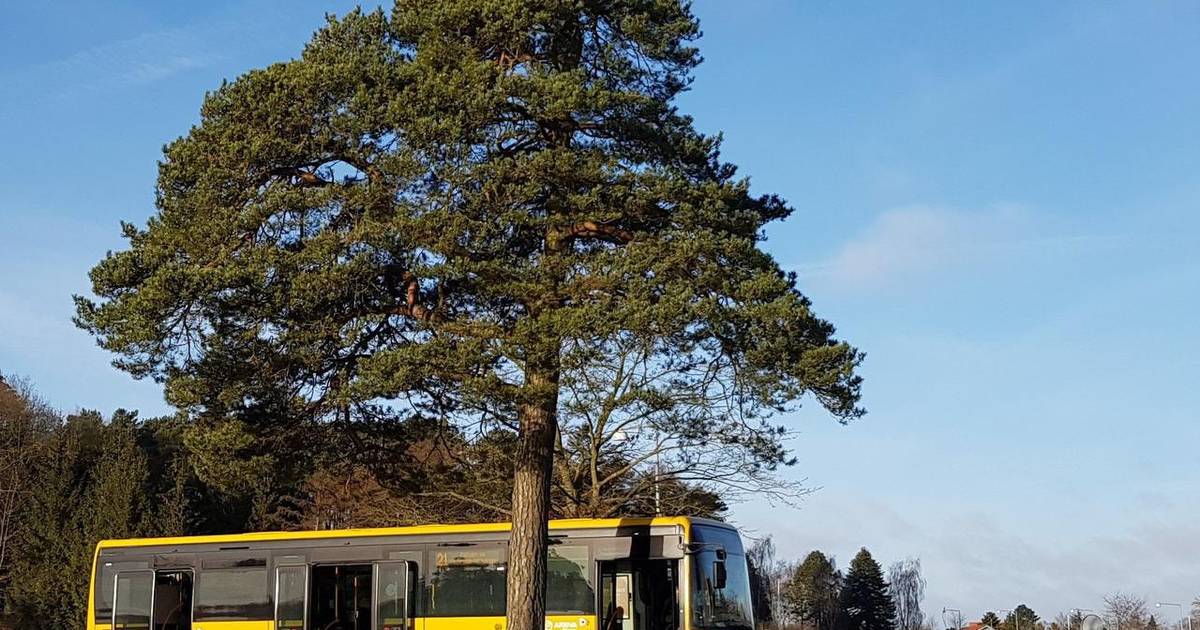 Bybus kører på biodiesel - Din Avis