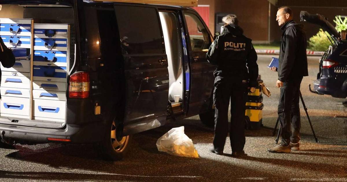 Dræbt Af Skud: Politiet Søger Vidner