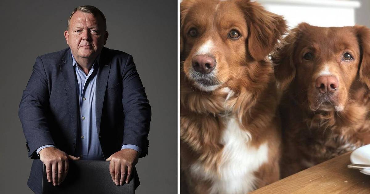 Forsvundet døgn: Lars Løkkes hund Beauty fundet dybt hul