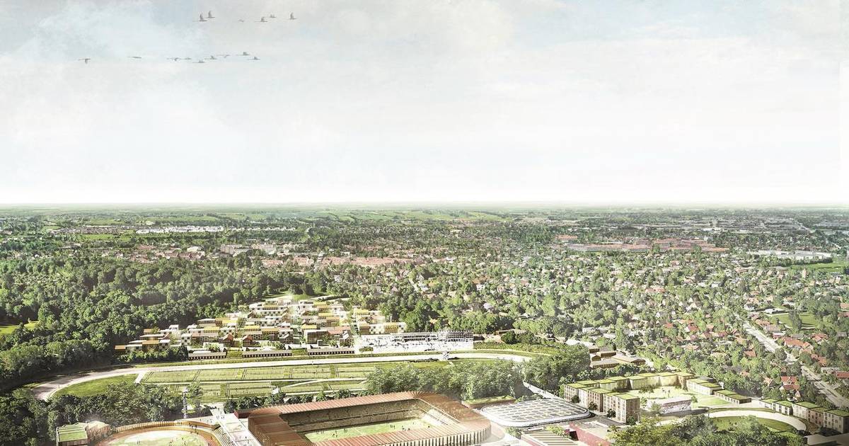 Idræts-interessenter fremlægger samlet vision for stadionområdet - Din Avis