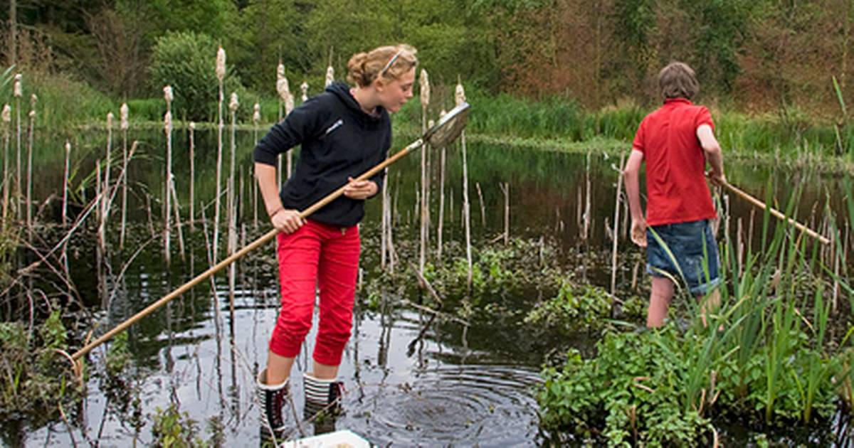 Jubilæum på kanten af Mossø - Din Avis