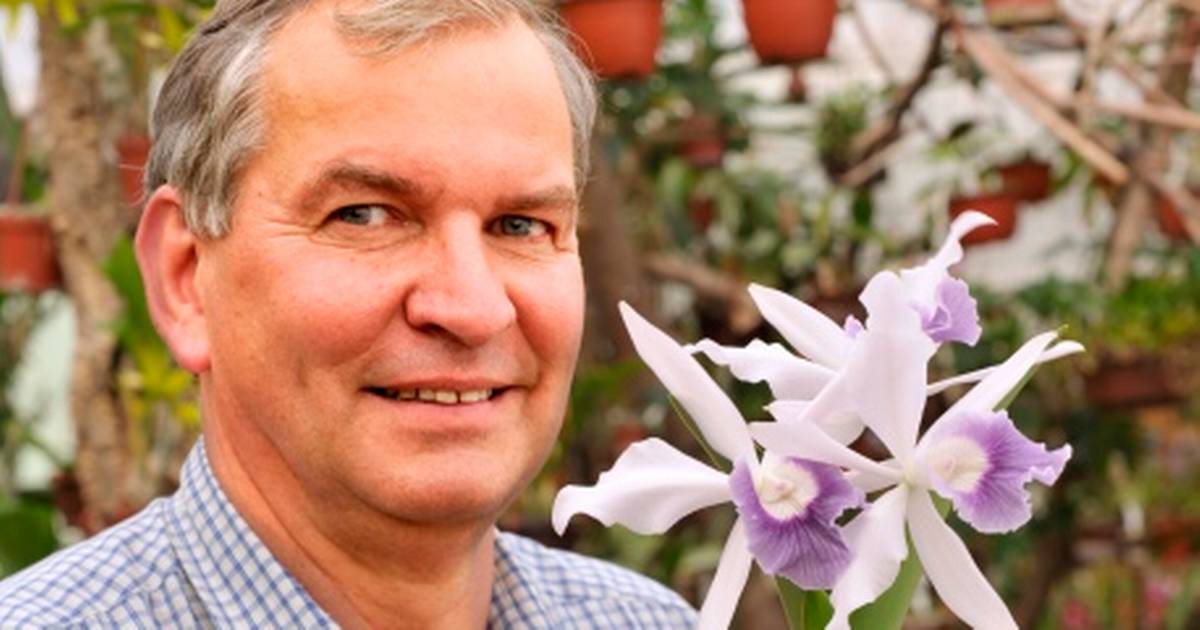 Den sidste orchidé er ikke døbt endnu Din Avis