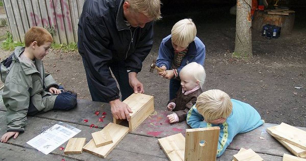 Værksted til fuglekasser - Din Avis