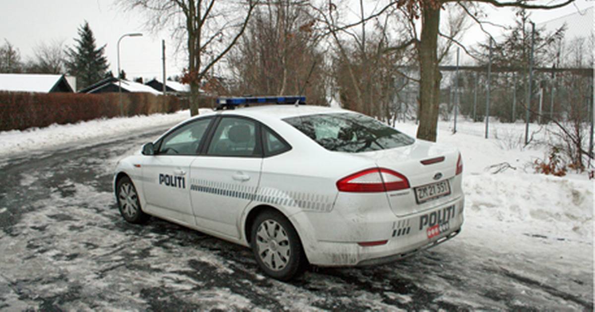 Fem Skoleelever Bidt Af Løs Hund 