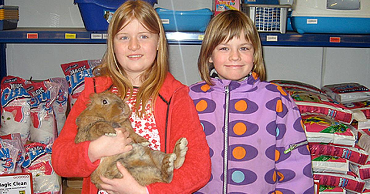 Nuser kælerdyr på parade i Petworld - Din Avis