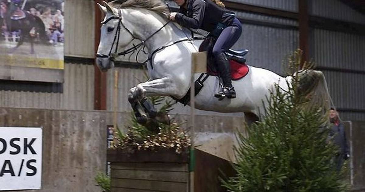 “Heste dage” i Farvskov Rideklub - Din Avis