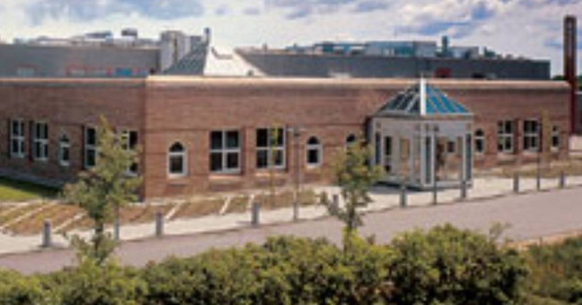 Cook Medical udvider i Ringsted