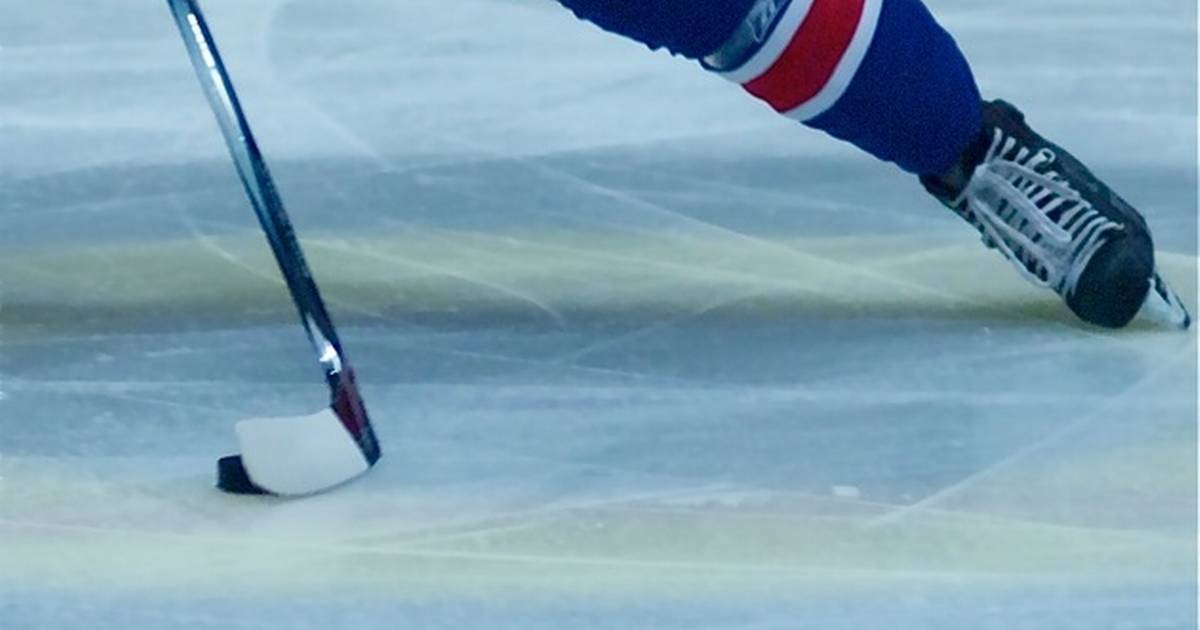 Blue Fox og EfB Ishockey i styrkede udgaver til pokalkamp - Din Avis