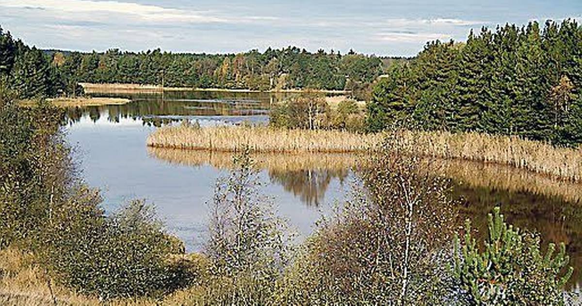 På tur til brunkulslejerne i Søby - Din Avis
