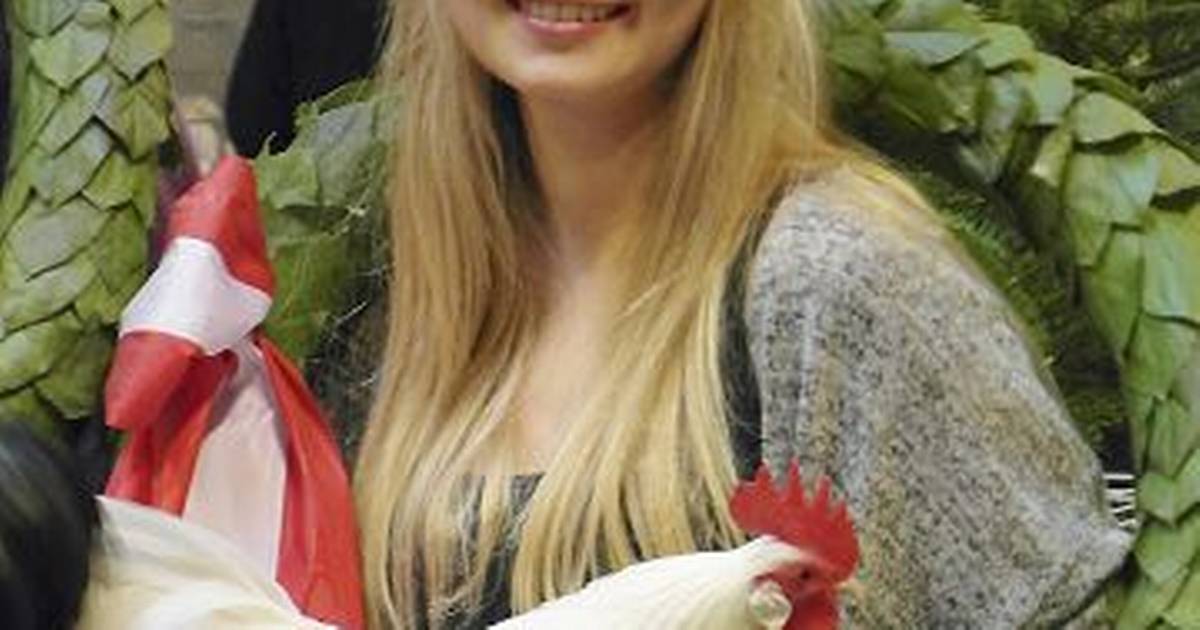 vild-med-h-ns-og-guldvinder-din-avis
