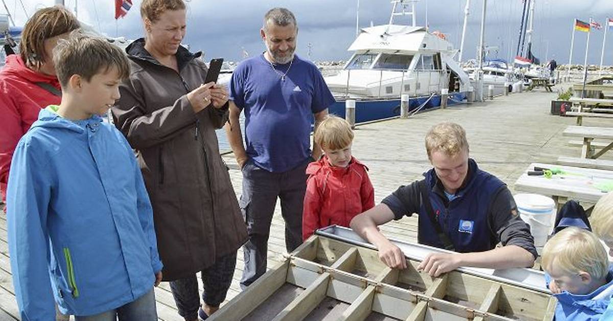 De voksne sidder også med fiskenet - Din Avis
