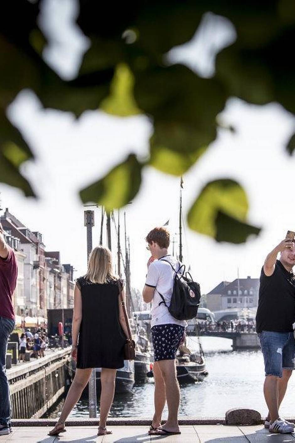 brugerdefinerede Træts webspindel dialog Corona-ramt sommer: Syv tips til en spændende ferie i Danmark