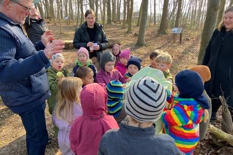 Syddjurs Kommune har bidraget med 40.000 kroner til at etablere en biodiversitetsskov for de allermindste børn i Rønde Ny Bypark.